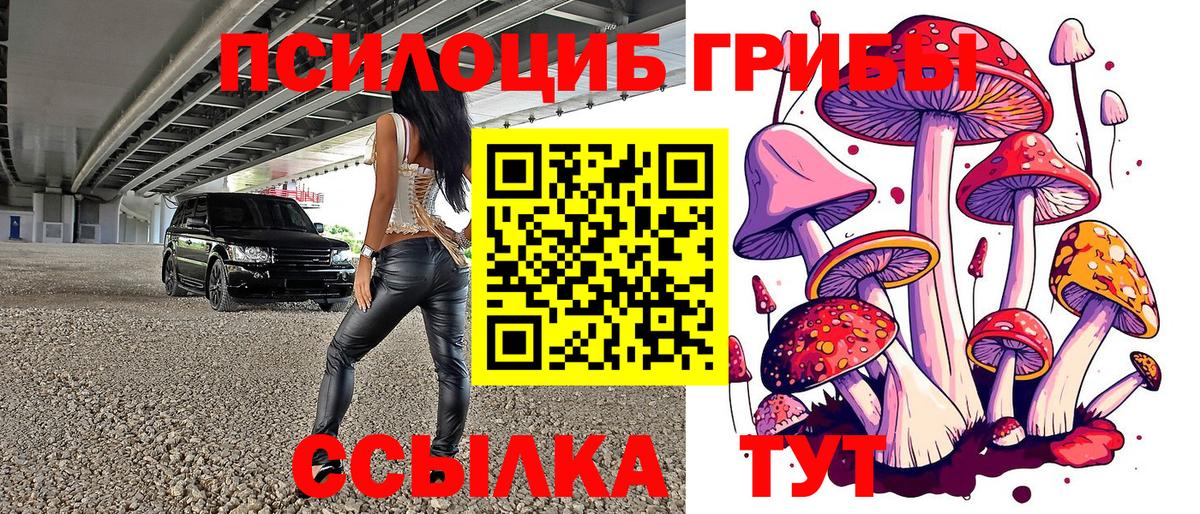 Псилоцибиновые грибы Psilocybine cubensis  Вход с VPN  Псилоцибиновые грибы MAGIC MUSHROOMS  Нижневартовск 