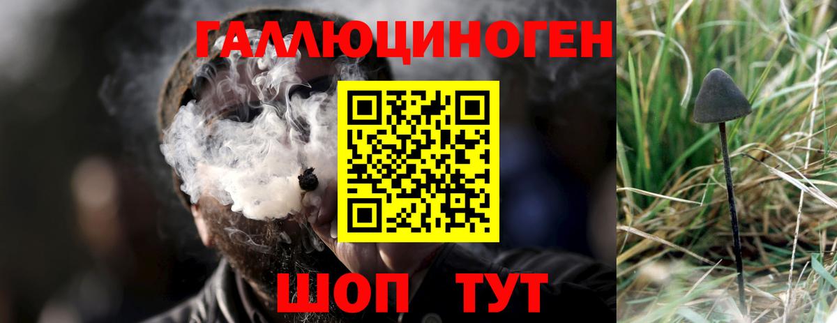 Псилоцибиновые грибы Psilocybe Нижневартовск